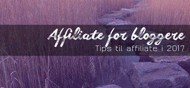Tips til affiliate for bloggere i 2017